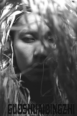 IMG_ 3965