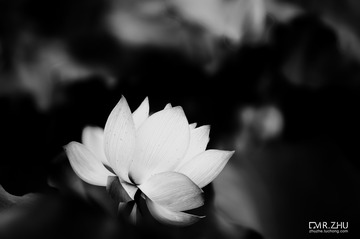 ABC_7609-编辑