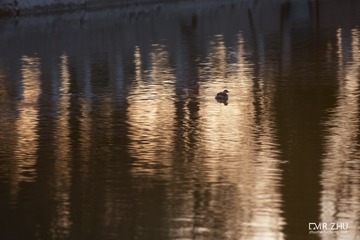 DSC_3892-编辑