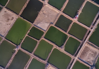 DJI_0033-编辑-2
