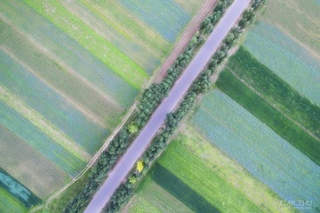 DJI_0050-编辑
