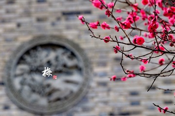 20160225162909-Coordinated
