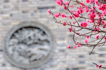 20160225162909