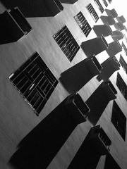 20110814446