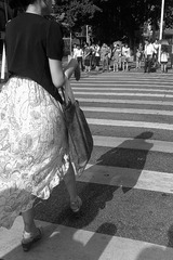 20120913445