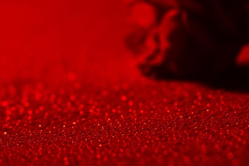 IMG_2018_12_19_006216