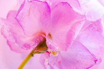 IMG_2018_12_14_005819