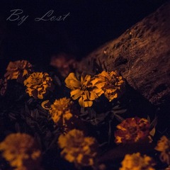 IMG_7335副本.jpg