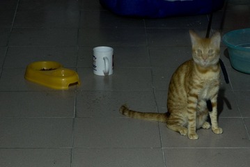 _IGP9510.jpg