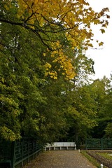 DSC00969.JPG