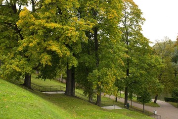 DSC00989.JPG