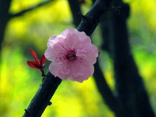 20120331 (1).jpg