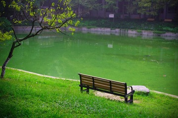 IMGP2755-3.jpg