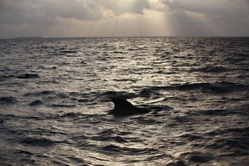 IMG_0912.jpg