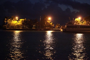 IMG_1328.jpg