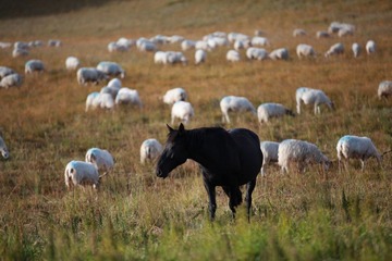 IMG_1976.JPG