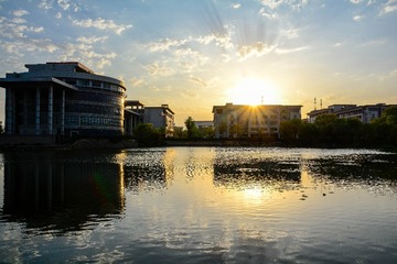 _DSC5699
