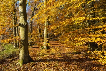 _DSC9649-01