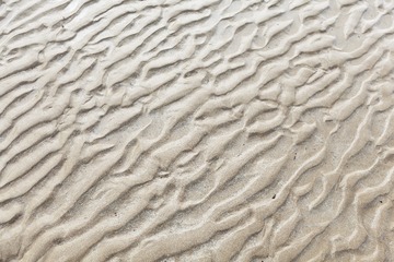 2016-05-24 07.32.15 1-01
