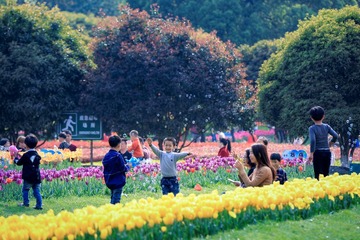 _J4A8444=_ts