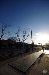 IMGP1378.jpg