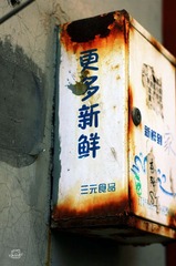IMGP2783.jpg