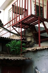 IMGP2790.jpg