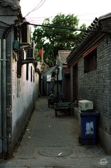 IMGP2793.jpg