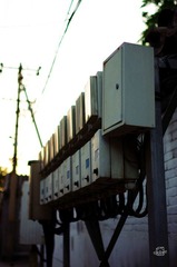 IMGP2809.jpg