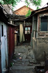IMGP2813.jpg