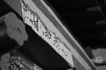 IMGP1251.jpg