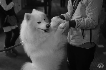 IMGP1304.jpg