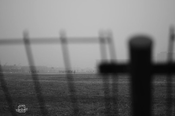 IMGP12441.jpg