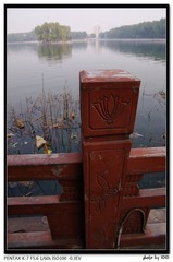 IMGP9926.jpg