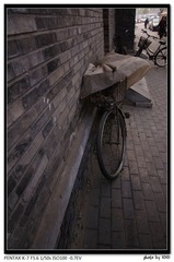 IMGP9929.jpg