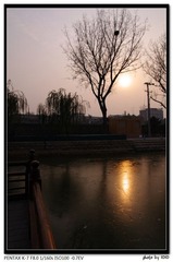 IMGP9938.jpg
