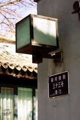 IMGP1207.jpg
