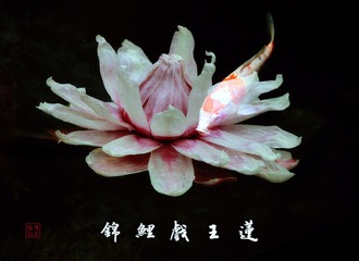 001