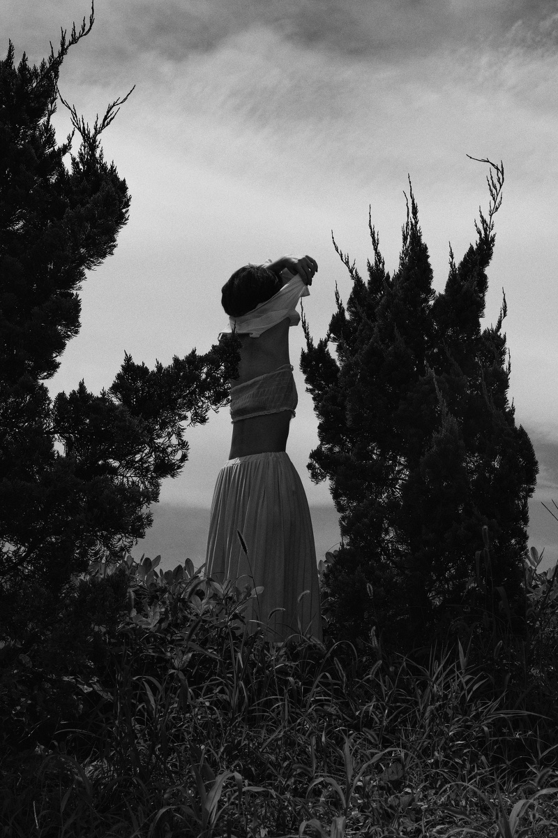 雷雨田 - 图虫摄影网