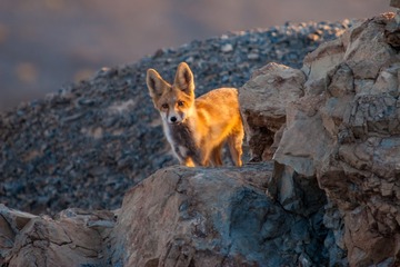 293_9382