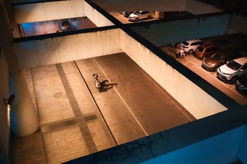 _DSC0894