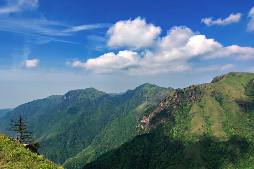 山上