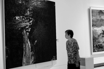 _DSF0091