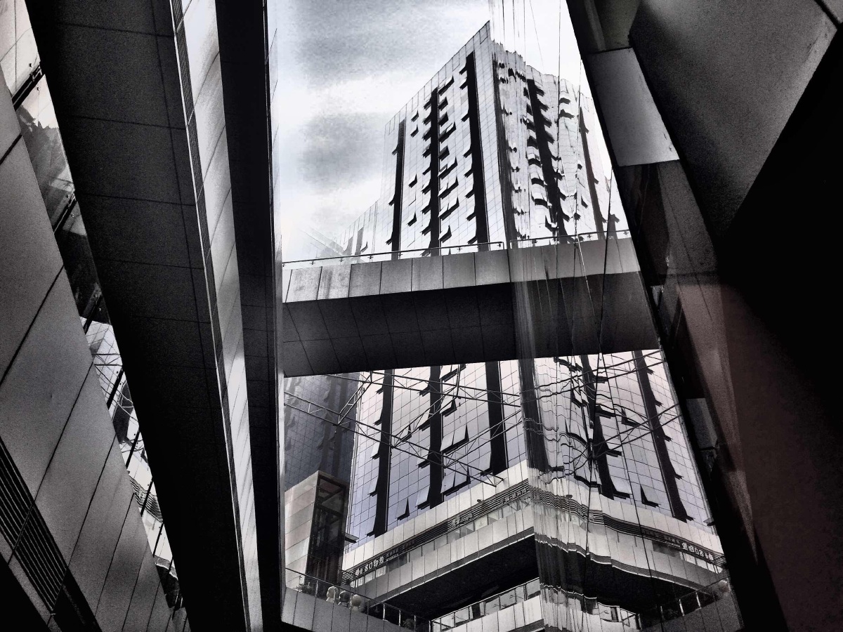 day266#身处钢筋混凝土的城市之间,又有多少是我于自己的地方