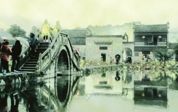 IMGP2474_1