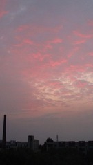IMG_5480.JPG