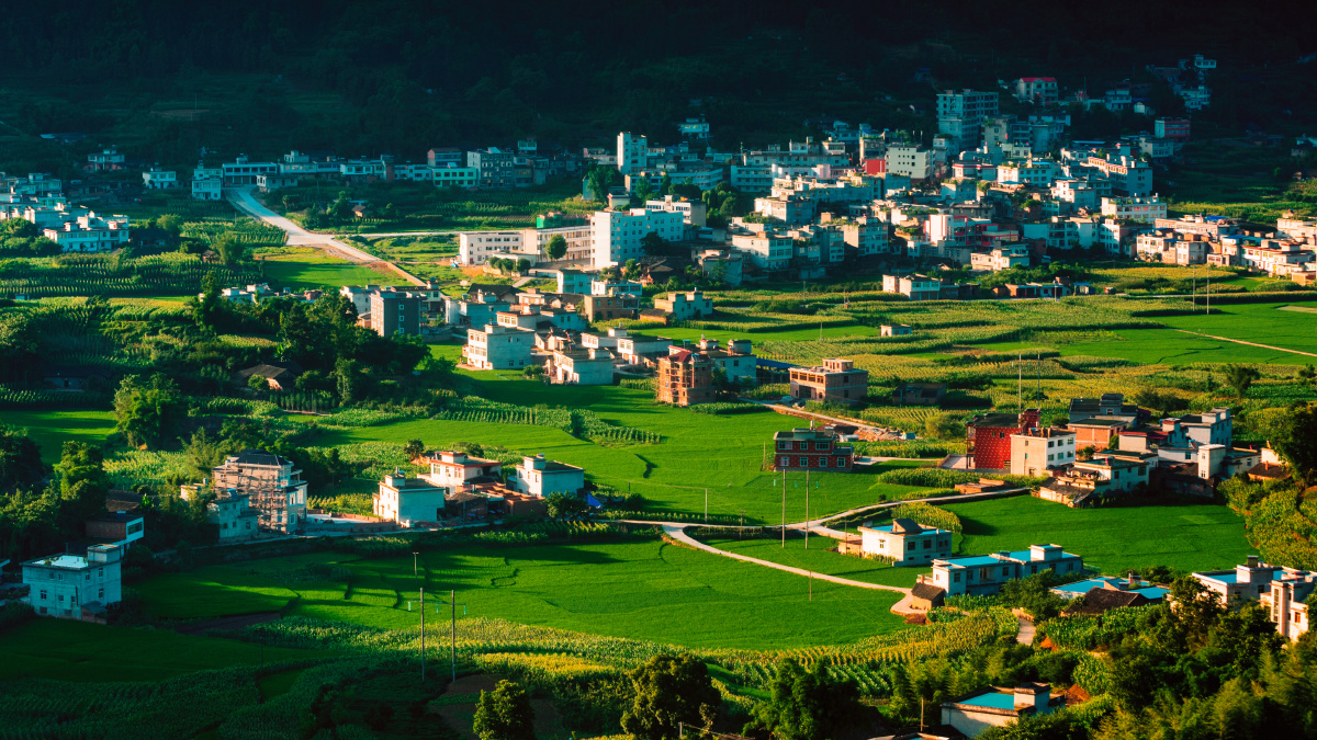 绿色蕉村_刘玉林_13086545555