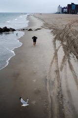 _DSC0976_F