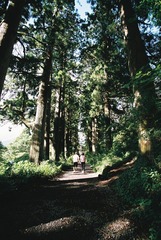 F1040022.JPG