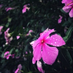 #Photos# series-1